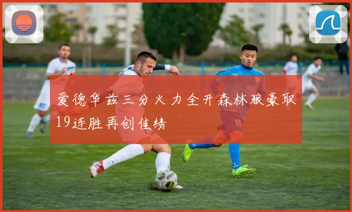 爱德华兹三分火力全开森林狼豪取19连胜再创佳绩