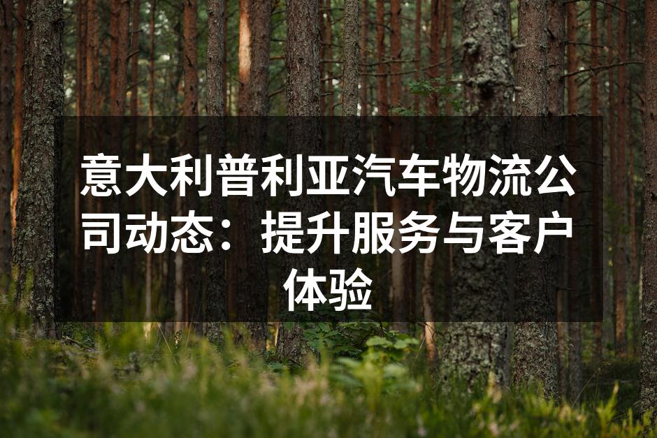 团队扩展，提升服务质量