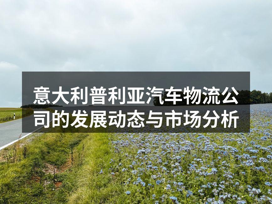 普利亚汽车物流中心的全景图