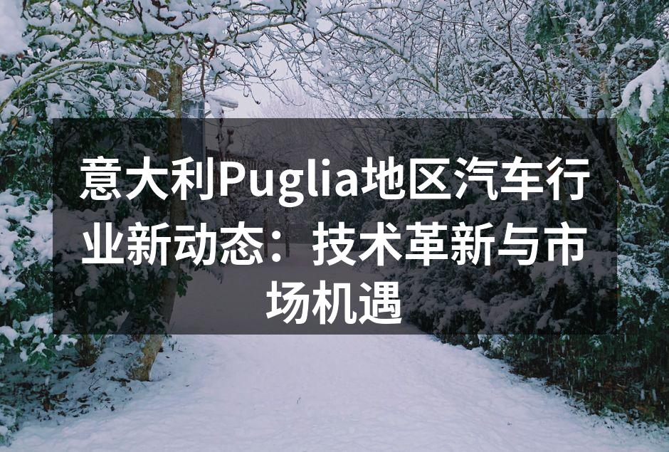 Puglia地区智能自动化生产线